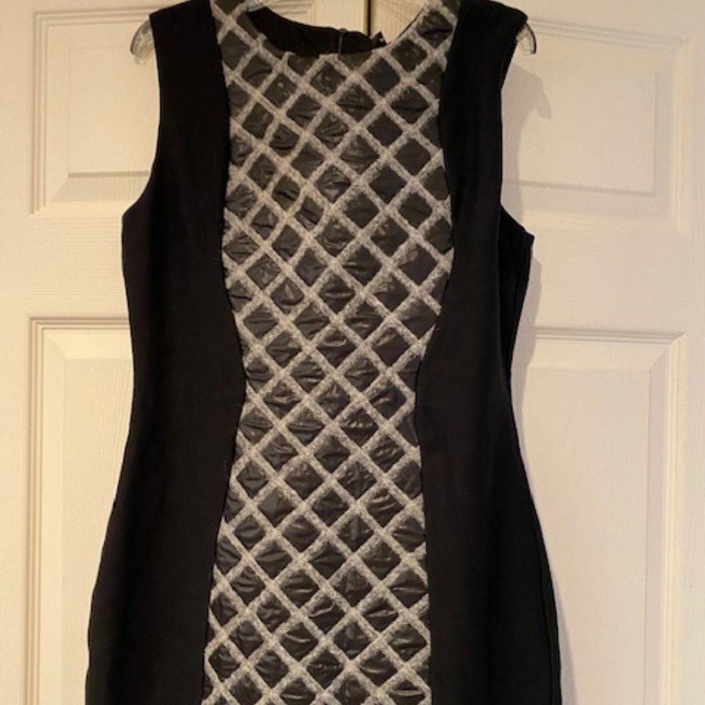 Paris Waggon Dress Brand New